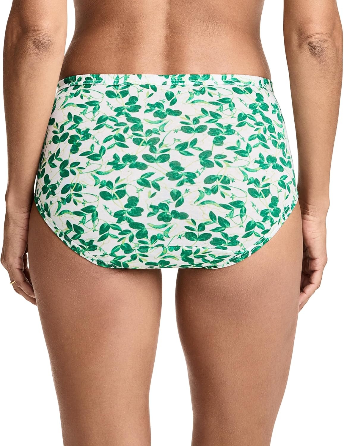 imageJockey Womens Underwear 100 Cotton Elance Brief 3 PackBotanical Sage