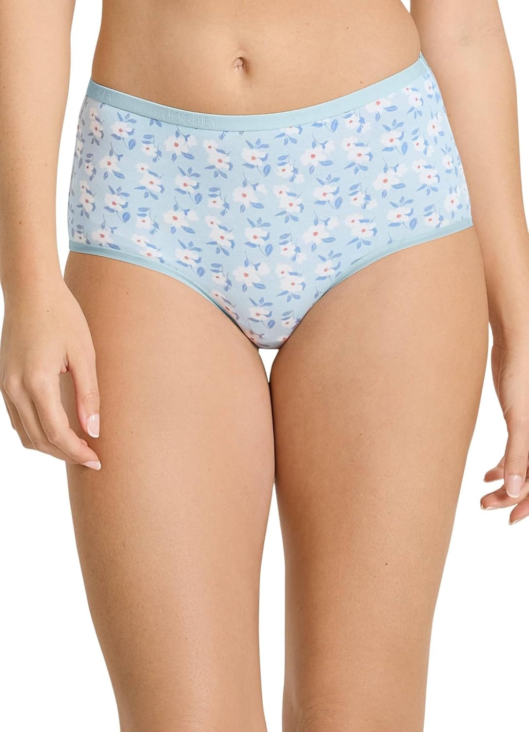 imageJockey Womens Underwear Organic Cotton Stretch Logo Modern Brief 6 PackOatmeal HeatherTrue BlueBright Blue BloomsLemon FizzOatmeal HeatherTrue Blue