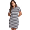 1876 Stripe